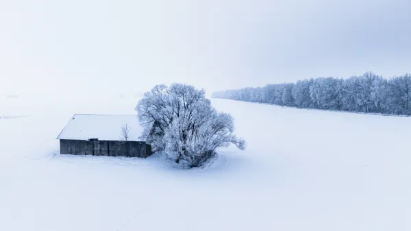vilnisphoto — Photographer, Rīga