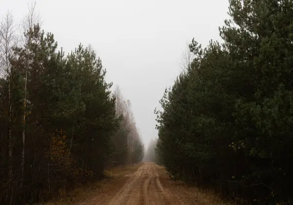 Aleksandrs Želtiševs — Fotogrāfs, Rīga